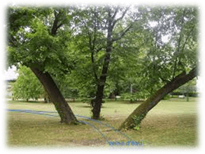 Cette image a un attribut alt vide ; le nom du fichier est image-10.png